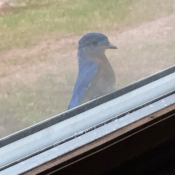 @browneyedgrl25 is GOING LIVE!! 😌 - Picture 9 of 11